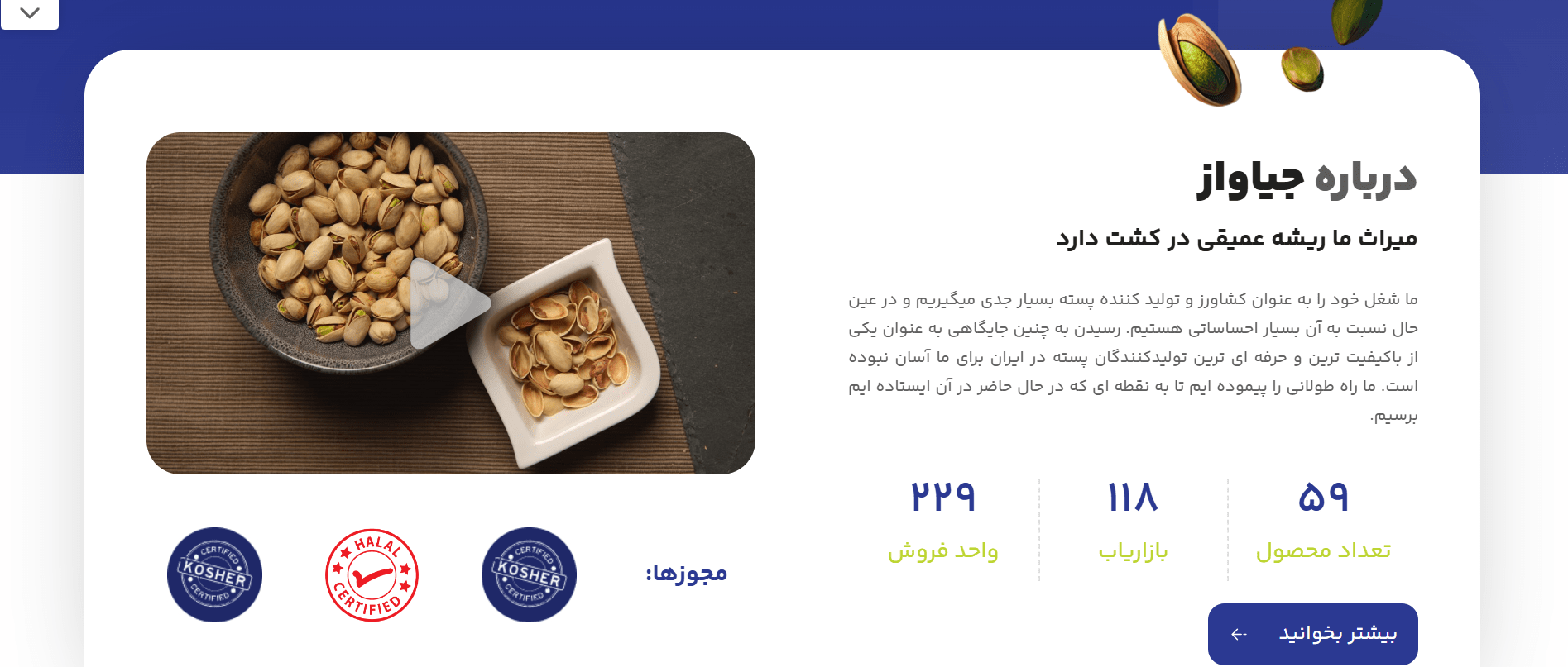 طراحی سایت آجیل و خشکبار: فروش آنلاین حرفه‌ای و افزایش سود شما