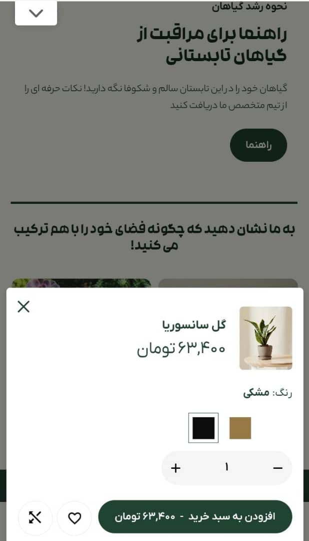 طراحی سایت فروشگاهی در شیراز | فروشگاه اینترنتی با قیمت مناسب و پشتیبانی رایگان