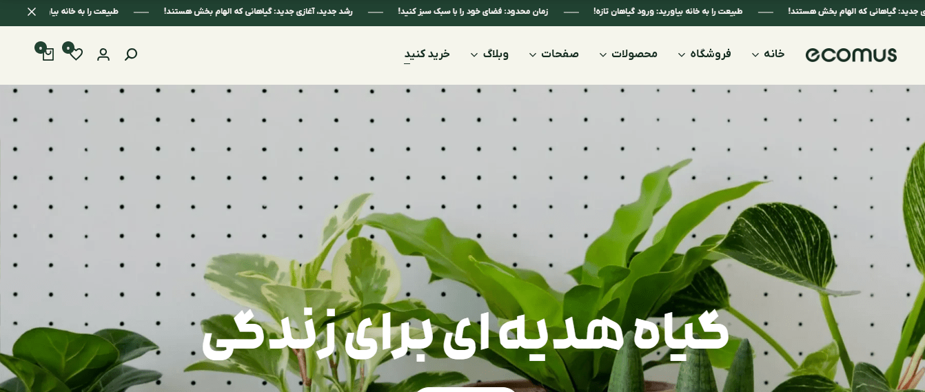 طراحی سایت فروشگاهی در شیراز | فروشگاه اینترنتی با قیمت مناسب و پشتیبانی رایگان