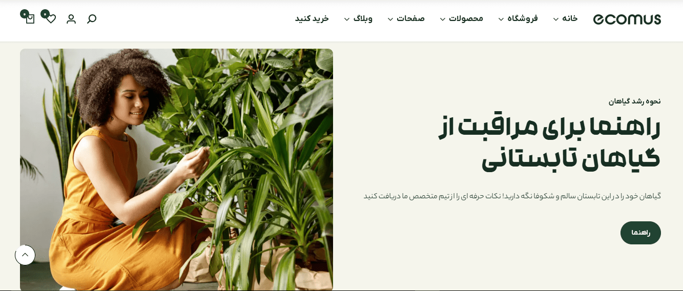 طراحی سایت فروشگاهی در شیراز | فروشگاه اینترنتی با قیمت مناسب و پشتیبانی رایگان