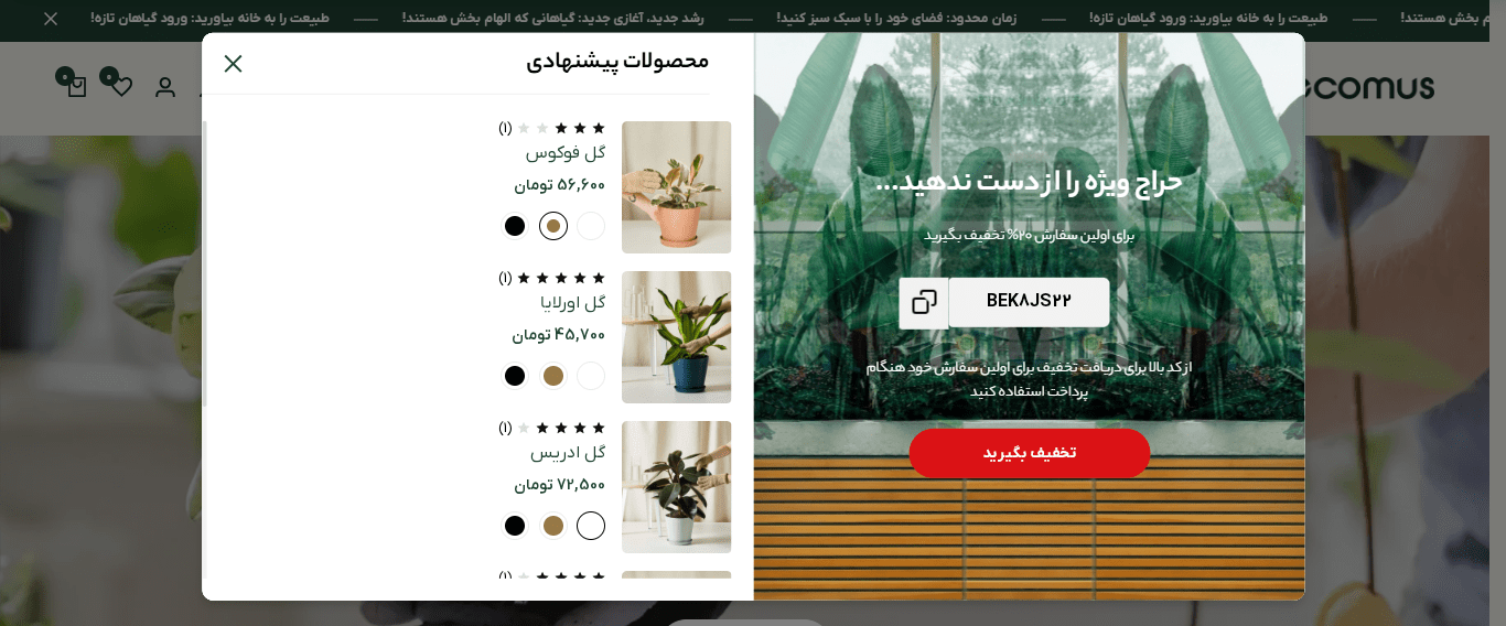 طراحی سایت فروشگاهی در شیراز | فروشگاه اینترنتی با قیمت مناسب و پشتیبانی رایگان