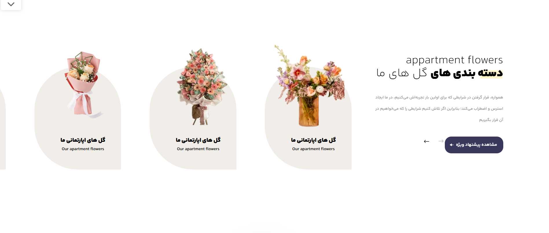 طراحی سایت گل فروشی | فروش آنلاین گل و گیاه با پشتیبانی ۲۴ ساعته 9 طراحی سایت گل فروشی | فروش آنلاین گل و گیاه با پشتیبانی ۲۴ ساعته