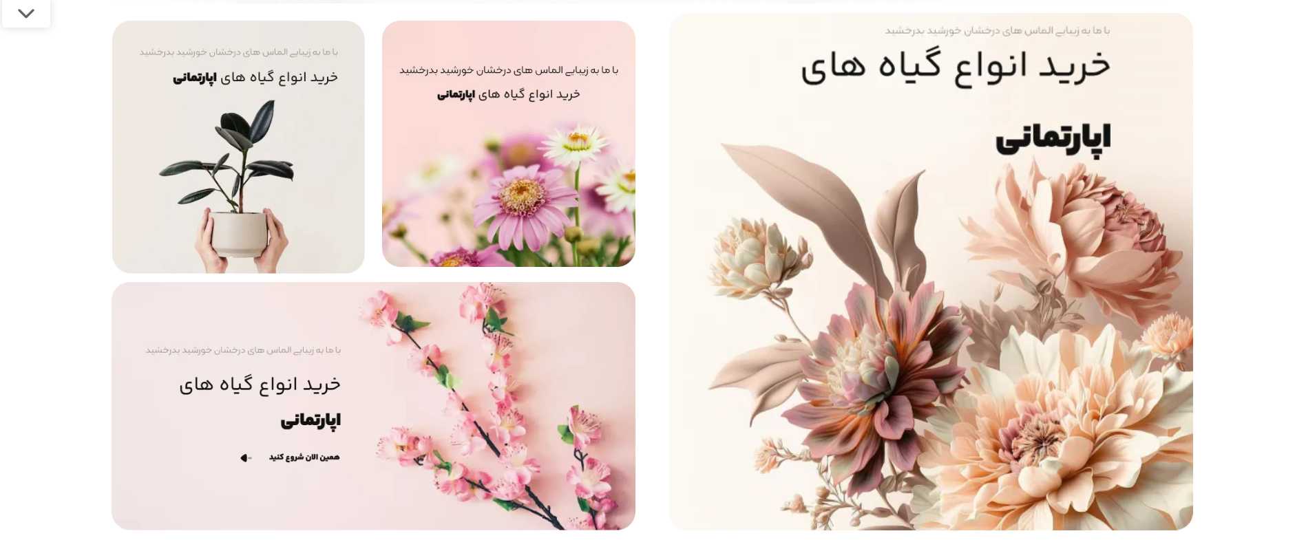 طراحی سایت گل فروشی | فروش آنلاین گل و گیاه با پشتیبانی ۲۴ ساعته 4 طراحی سایت گل فروشی | فروش آنلاین گل و گیاه با پشتیبانی ۲۴ ساعته