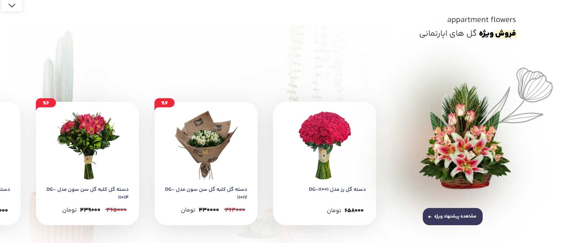 طراحی سایت گل فروشی | فروش آنلاین گل و گیاه با پشتیبانی ۲۴ ساعته 7 طراحی سایت گل فروشی | فروش آنلاین گل و گیاه با پشتیبانی ۲۴ ساعته