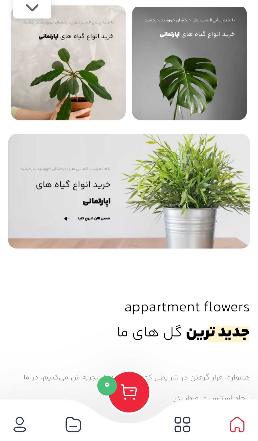 طراحی سایت گل فروشی | فروش آنلاین گل و گیاه با پشتیبانی ۲۴ ساعته 8 طراحی سایت گل فروشی | فروش آنلاین گل و گیاه با پشتیبانی ۲۴ ساعته