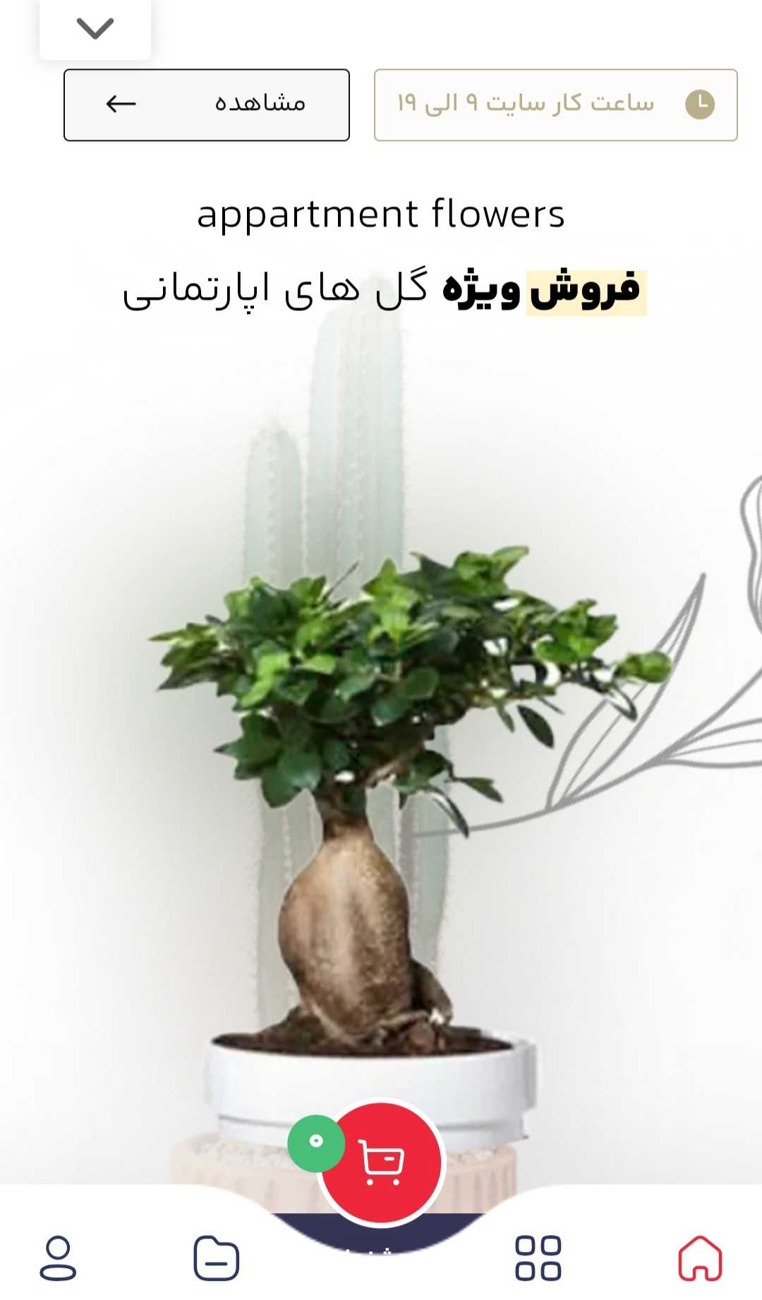 طراحی سایت گل فروشی | فروش آنلاین گل و گیاه با پشتیبانی ۲۴ ساعته 5 طراحی سایت گل فروشی | فروش آنلاین گل و گیاه با پشتیبانی ۲۴ ساعته